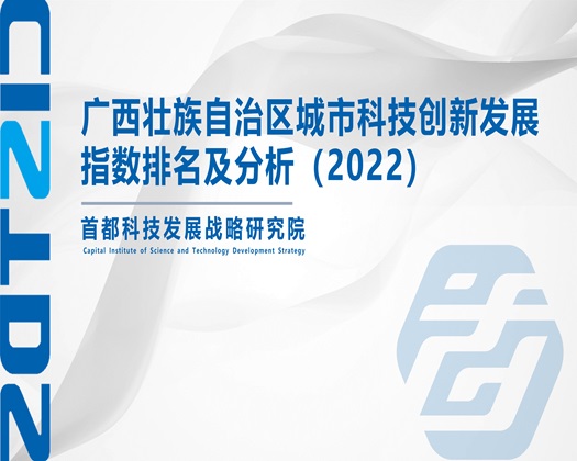 看操逼大片1级【成果发布】广西壮族自治区城市科技创新发展指数排名及分析（2022）